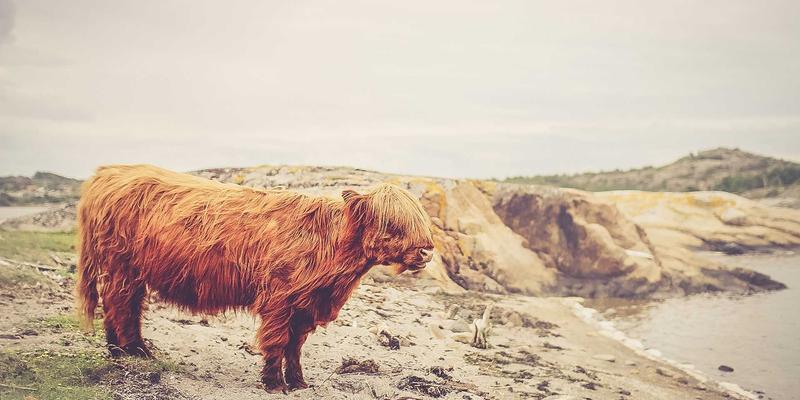 东莞恒安携手物业公司:以云对讲+智能门禁重塑智慧社区新生态