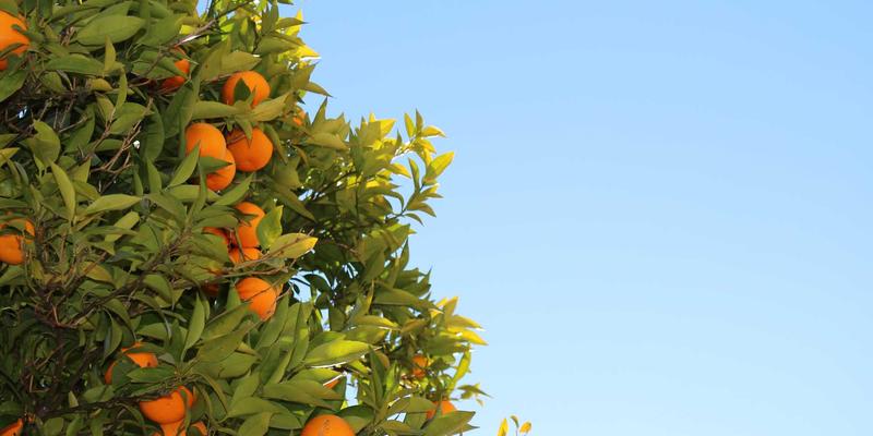 从企业到家庭：东莞恒安智能门锁如何重塑智慧办公的无感通行与空间管理新范式