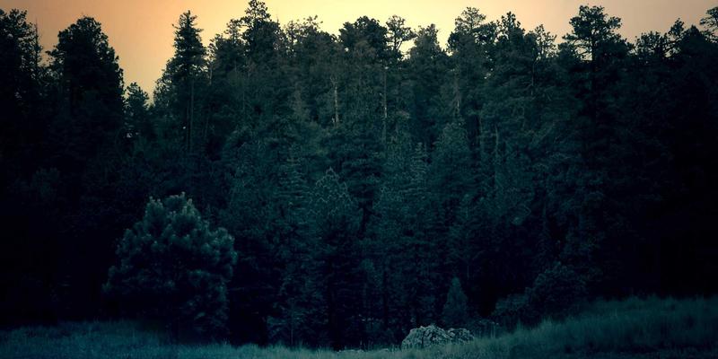 从家庭安防到数据中心:智能门锁如何重塑物理安全新边界