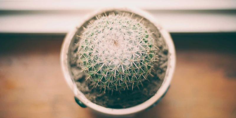 从护理到安防：东莞恒安成人失禁产品的跨界市场拓展新路径