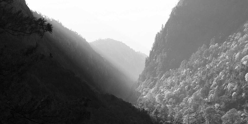 从门禁到决策:东莞恒安如何用安防大数据驱动企业精细化运营